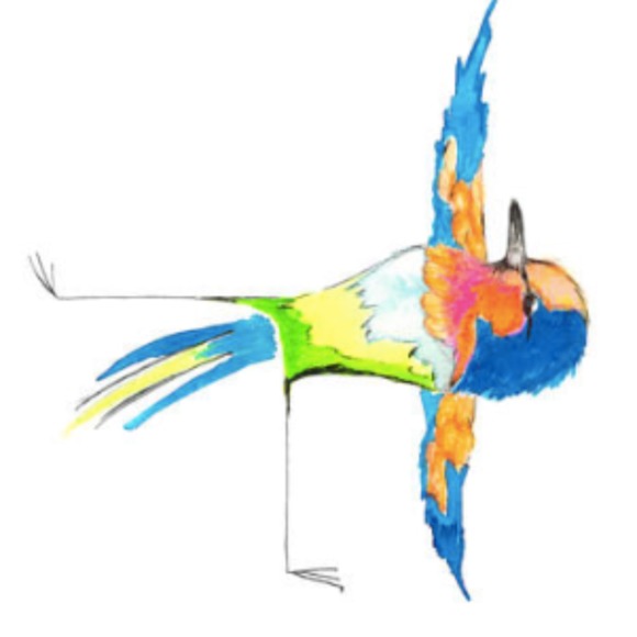 thebalancedbird